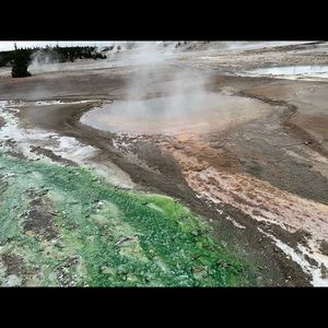 Meet your Posher, Fernando